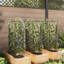 Plant Stand