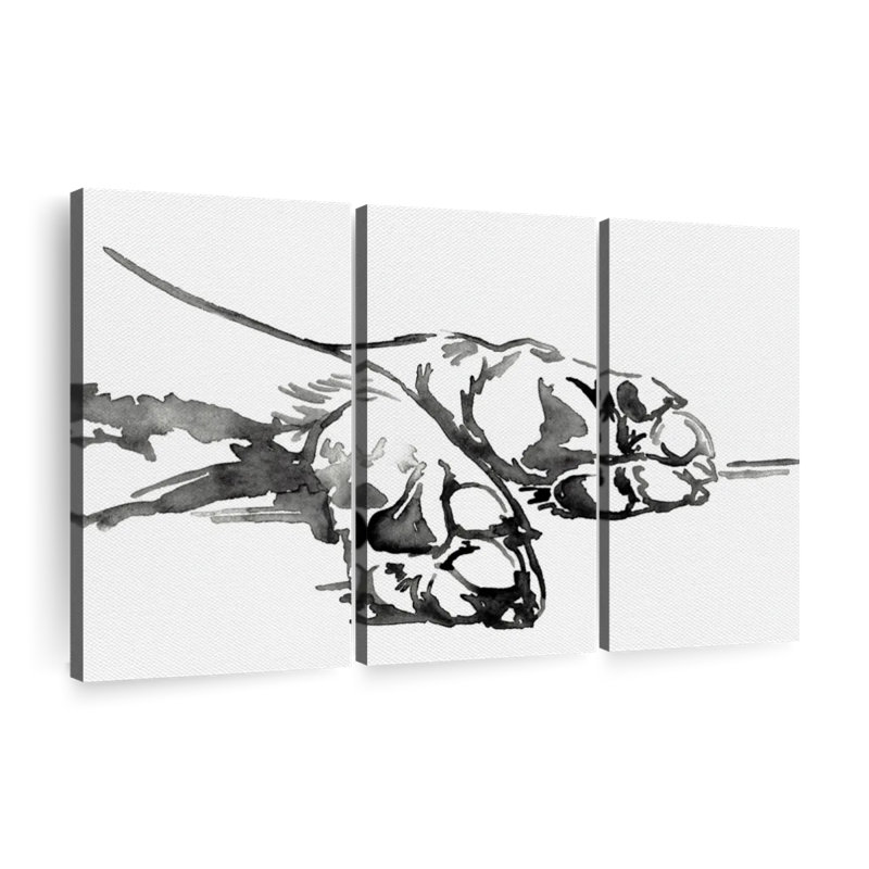 Animal «Linear Paws I Canvas Print» sur, H 36 po x l 57 po x P 1,25 po