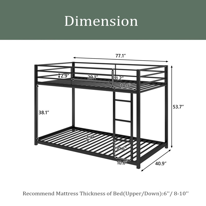 Neuhaus Kids Twin Over Twin Bunk Bed, Black