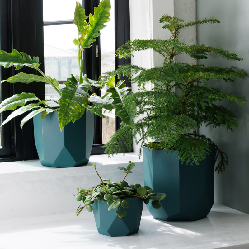 Tuxton Geometric Plastic Indoor/Outdoor Planter, 9.75" x 10.13" x 10.13", Blue/Green