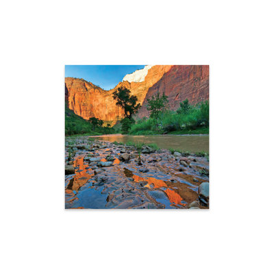 Reflections In Virgin River After Flooding, Zion National Park, Utah by Tim Fitzharris -  Loon PeakÂ®, F9D08D3A07B44D72AEBE4D349F93C46C