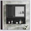 Armoire à pharmacie murale à miroir de 30 pouces avec tablettes réglables et rangement ouvert, parfaite pour l'organisation et l'élégance de la salle de bain