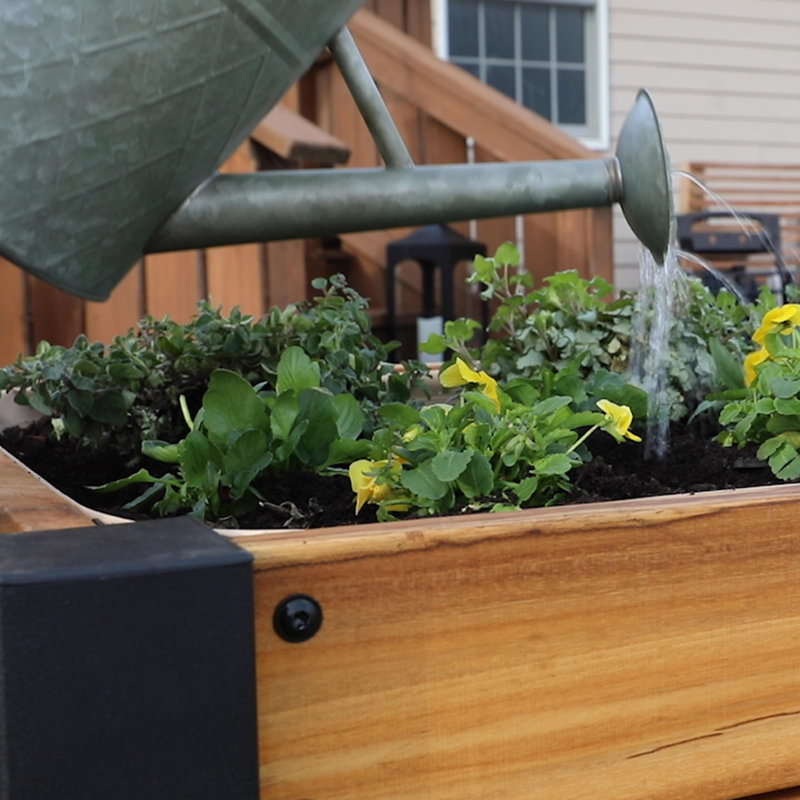6 Cubic Foot Teak Raised Planter with Steel Legs