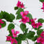 6 pi Bougainvillée artificiel minimaliste-1646291917