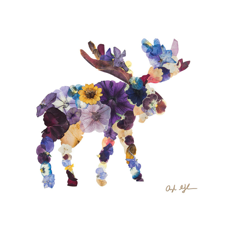 Moose 1 Piece Wrapped Canvas Wall Art, 93.98 cm H x 93.98 cm W x 1.91 cm D