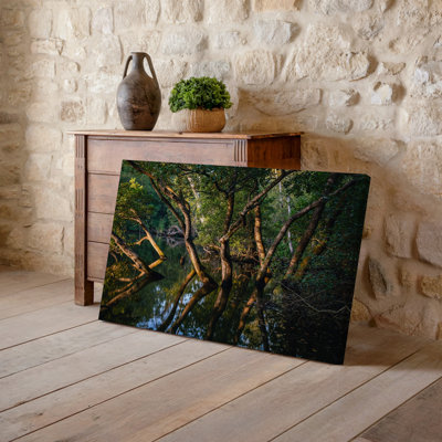 Toile, scène de marais tranquille capturée à la lumière douce du soleil filtrant l'art mural à travers une toile dense de feuillage vert luxuriant sur toile