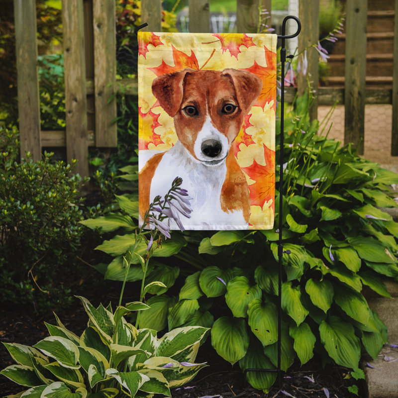 Double Sided 15'' H x 11'' W Polyester Animal Garden Flag, Brown Jack Russell Terrier