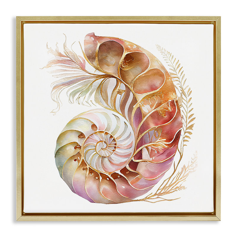 «Curled Nautilus» par Birch & Ink, Cadre flottant métallique doré, H 18 po x l 18 po