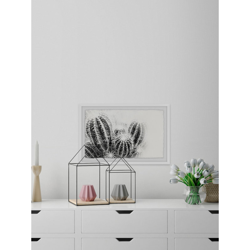 Cactus Spines - Single Picture Frame Print, 30cm H x 46cm W x 4cm D