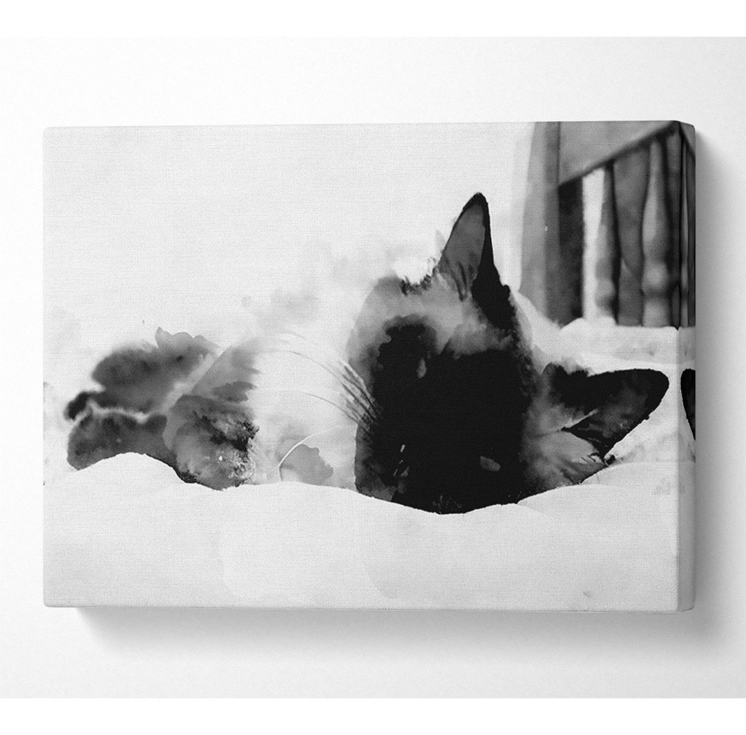 Its A Cats Life B N W - Kunstdrucke auf Leinwand