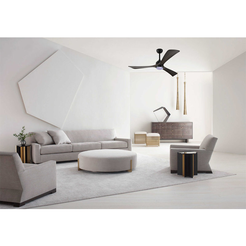 Ventilateur de plafond extérieur à 3 pales Haydi avec télécommande et ensemble d'éclairage inclus, Noir