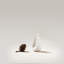 Pottery Evergreen-2056514073-2056514072