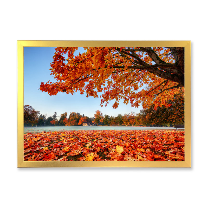 Mystic Autumn Forest - reproduction de cadre flottant sur toile, H 16 po x l 32 po x P 1 po, Encadrement doré
