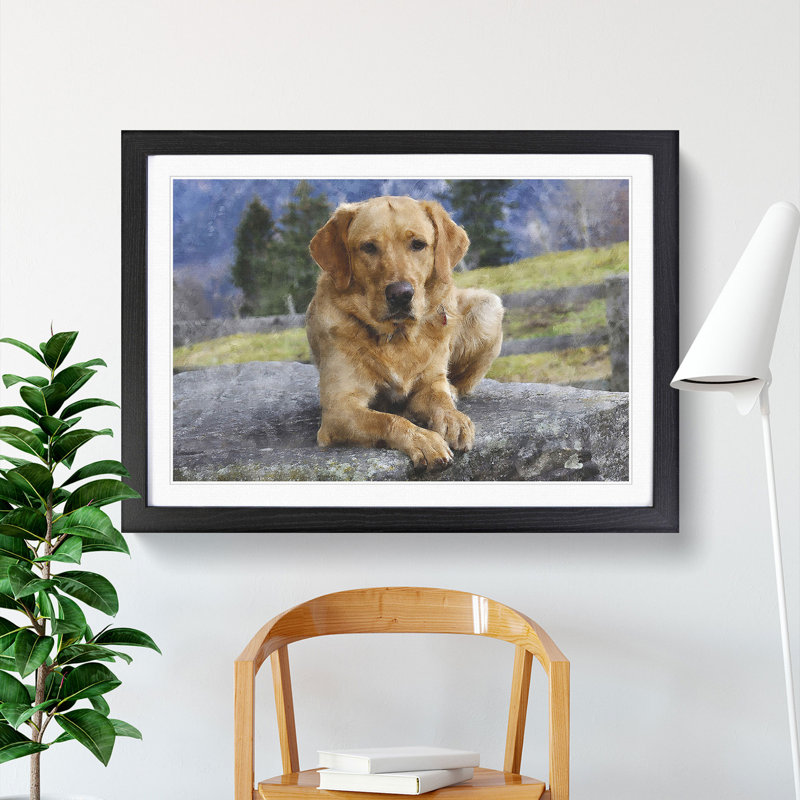 Golden Labrador Dog Vol.2 - Framed Print, 27cm H x 36cm W x 2cm D, Black Framed
