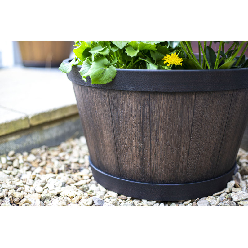 Oban Whiskey Barrel, Dark Oak, 23cm H x 39cm W x 39cm D