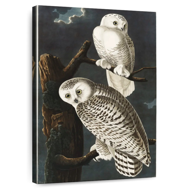 Brampt Snowy Owls, 48" H x 32" W
