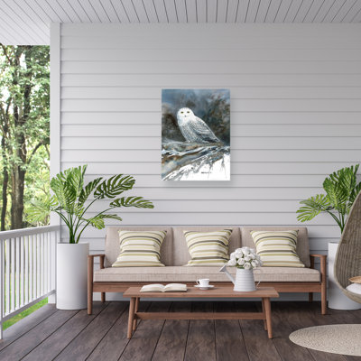 Dave Bartholet Arctic Ghost Outdoor  Canvas