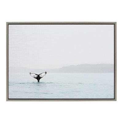 Whale Tail in The Mist by Amy Peterson Framed Canvas Wall Art Print