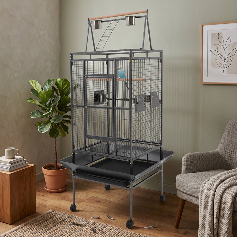 Cage à perroquet en fer forgé noir avec grande surface de jeu 68 po avec 4 roulettes verrouillables