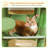 45.7" Multi-Level Indoor Cat Climbing Tree