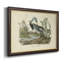 Audubons Louisiana Heron, toile encadrée de qualité supérieure - prête à être accrochée-1984957957
