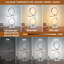 Dashanta Metal Novelty Lamp