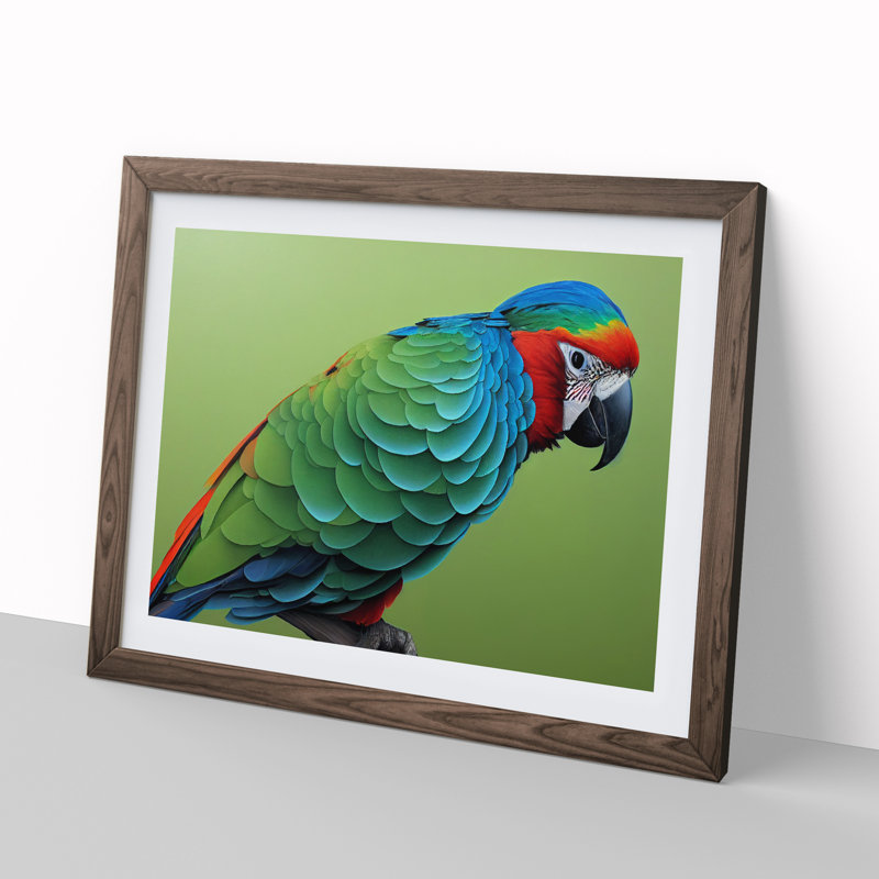 Colourful Parrot Vol.1 - Single Picture Frame Painting, Walnut Framed, 34cm H x 46cm W x 2cm D