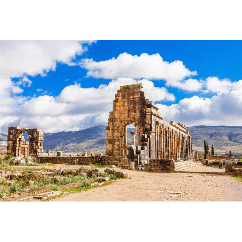 Tyral Volubilis au Maroc sur toile, H 8 po x l 12 po