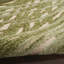 Tapis intérieur / extérieur Brasfield-844719214