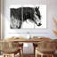 Portrait de cheval Brampt noir et blanc III-108160188