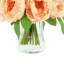 Peony In Glass Vase