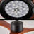 Aarshiya 52'' Ceiling Fan with LED Lights
