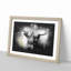 Paint Splattered Highland Cow Framed Print-56866157-56866160