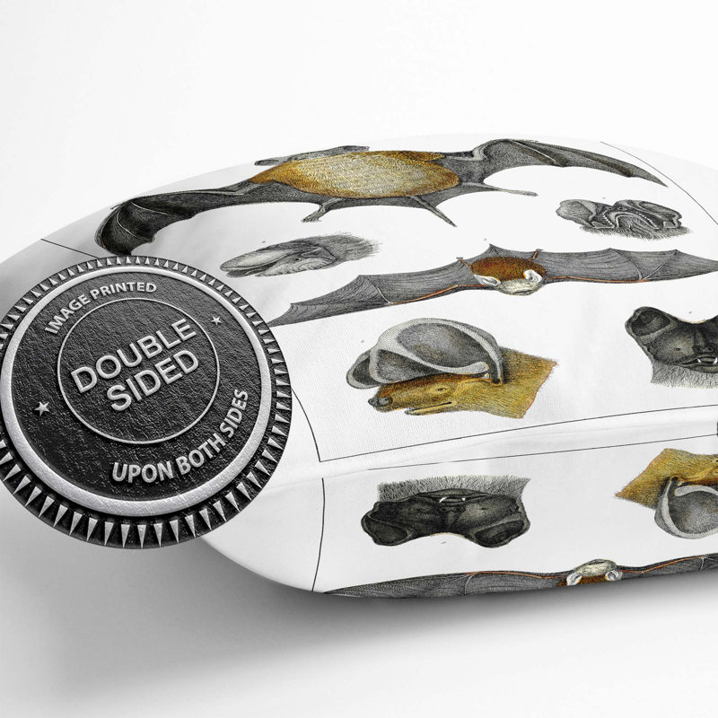 Various Bats XIII by Oliver Goldsmith Cushion with Filling, 55cm H x 55cm W x 20cm D