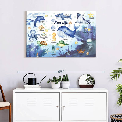Ashelle Sea Life Chart