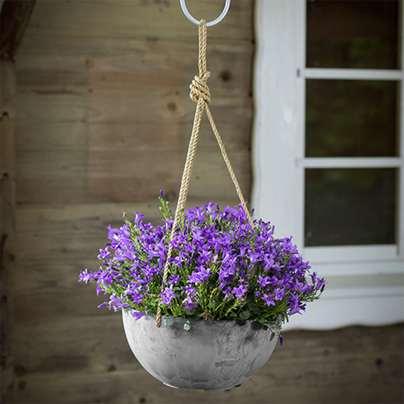 Pot à fleurs suspendu en résine Pollyanna, H 4,75 po x l 10 po x P 10 po, Gris