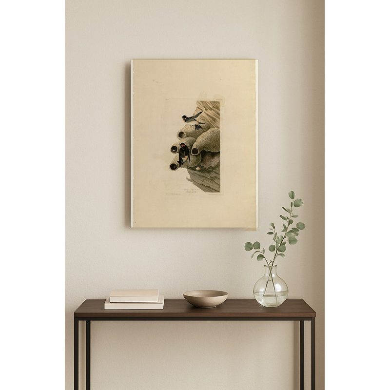 Républicain ou Hirondelle des falaises, Planche 68 — Portrait mural en métal, 18" H x 12" W