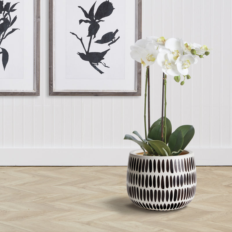 Killam Black Ceramic Pot Planter
