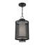 Lanterne suspendue d'extérieur Zebra-1154955271-1156041725