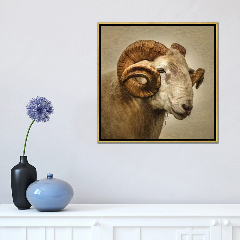 « RAM » par Mark Gemmell-impression d’art graphique, Pas de tapis, H 18 po x l 18 po x 1,5 po, Toile encadrée d'or