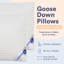700 oreillers 100% duvet d'oie blanche 100% coton ferme, moyen et moelleux (1 oreiller)-96294479-92832489