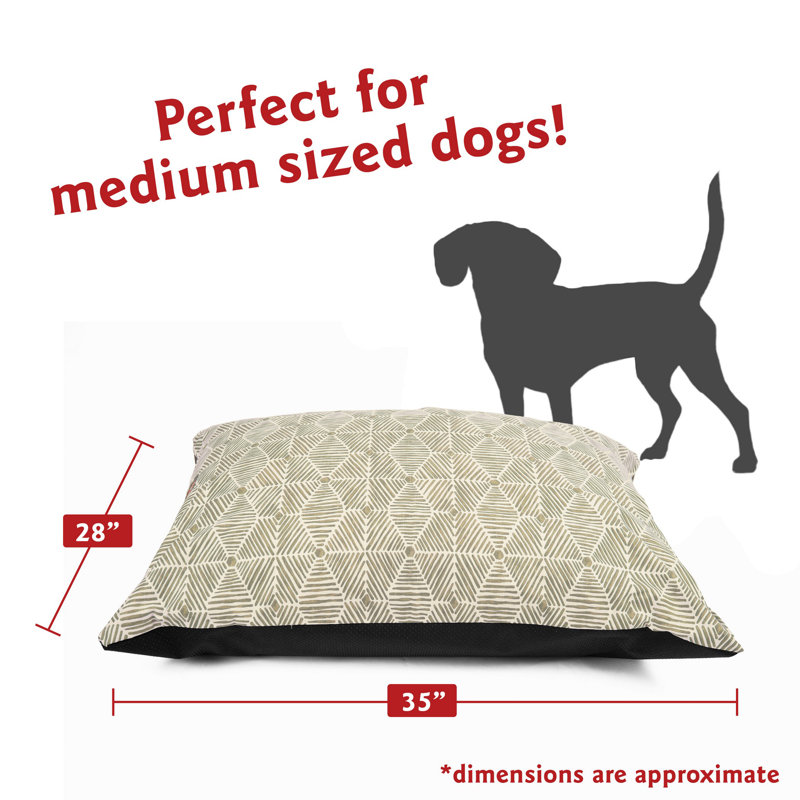 Coussin Charlie, Beige, Moyen (l 35 po x P 28 po x H 4 po)