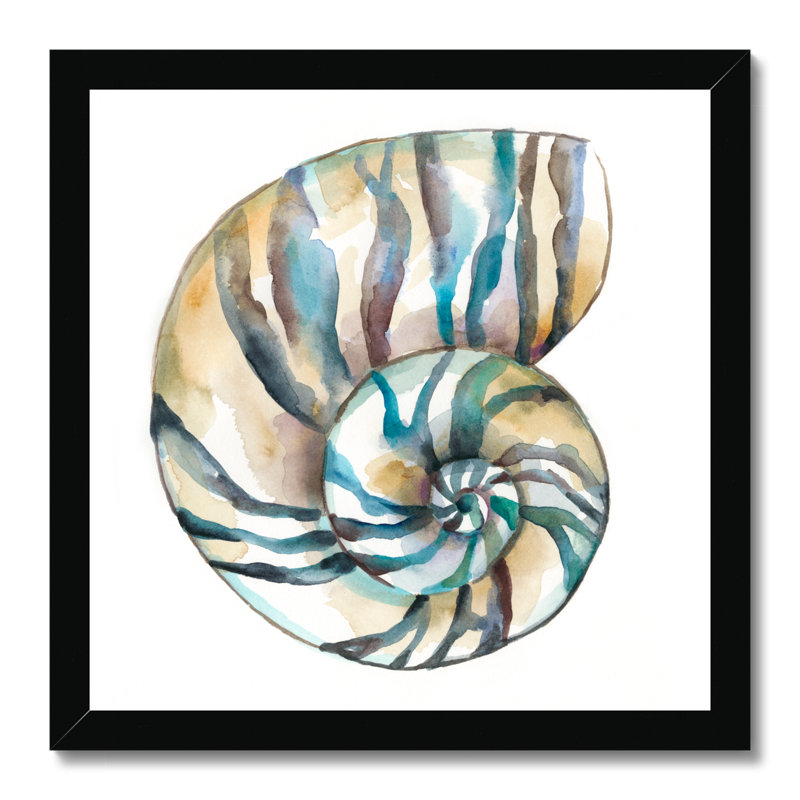Aquarelle Shells II by Chariklia Zarris - Painting, 34cm H x 34cm W, Black Framed Paper Print