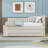 Upholstered Daybed with Three Drawers and Trundle-803584502-803584507