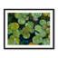 Lotus Pond Serenity Series II Framed Print-71200078-132511249