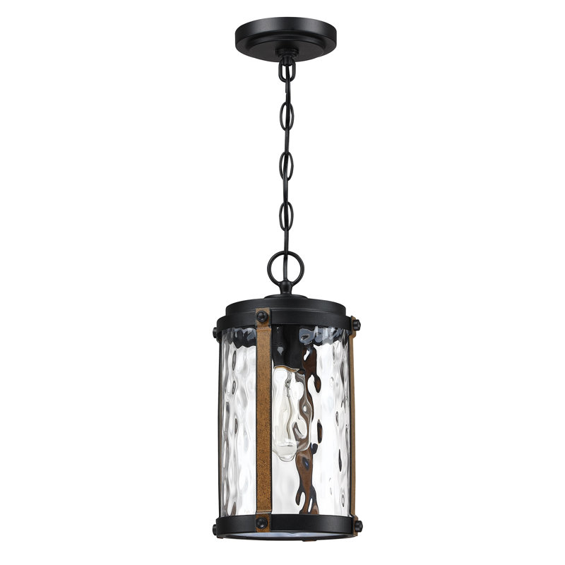 Lemoore Outdoor Hanging Lantern