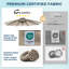Replacement Canopy-872364702
