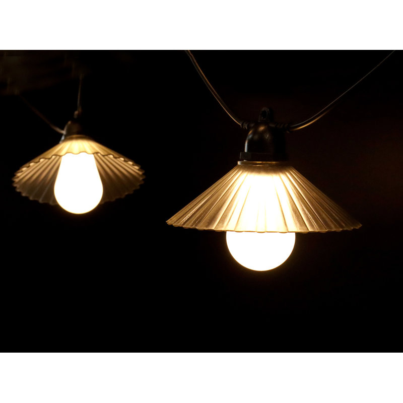 Raegen Outdoor 10 - Bulb 192'' Plug-in String Light, White