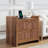 Ailey 2-Drawer Nightstand with Charging Station