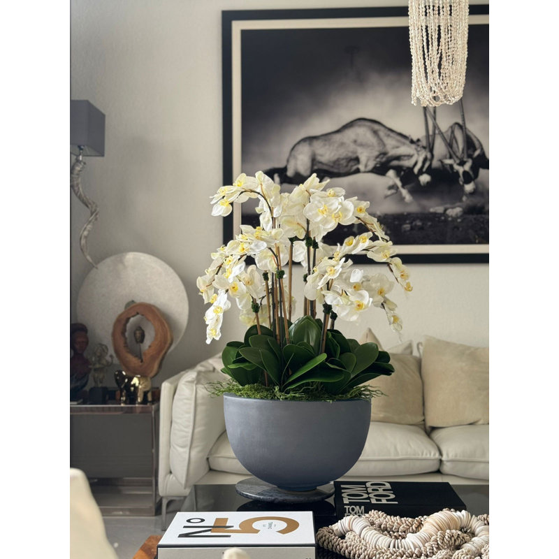 White Orchids In Glossy Grey Fiberstone Bowl, White